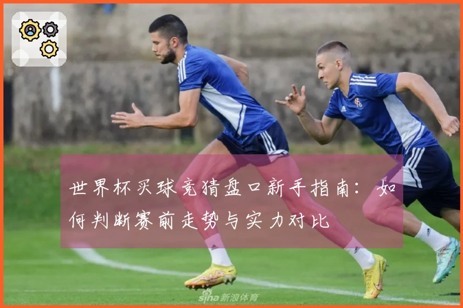 世界杯买球竞猜盘口新手指南：如何判断赛前走势与实力对比