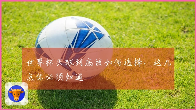 世界杯买球到底该如何选择，这几点你必须知道