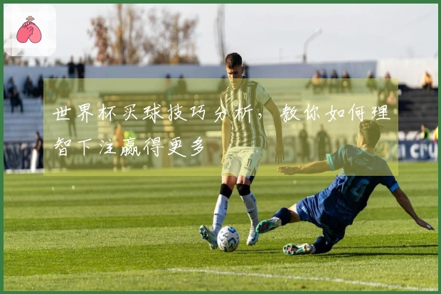 世界杯买球技巧分析，教你如何理智下注赢得更多