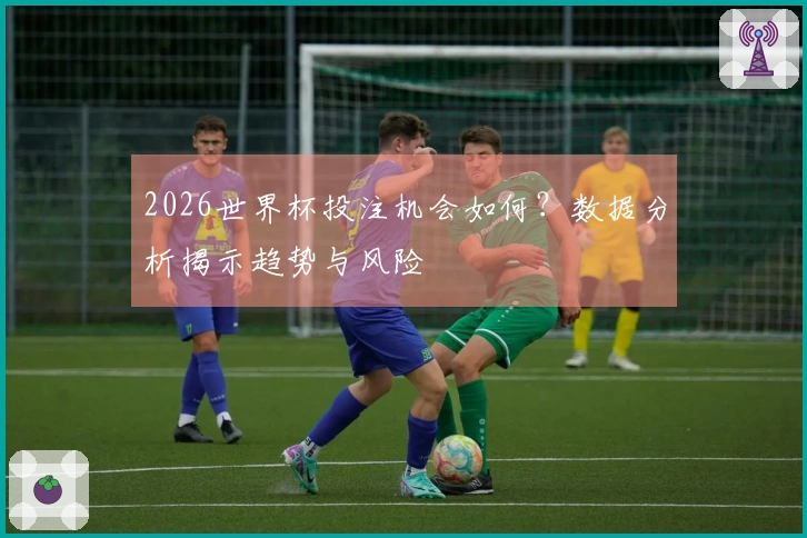2026世界杯投注机会如何？数据分析揭示趋势与风险