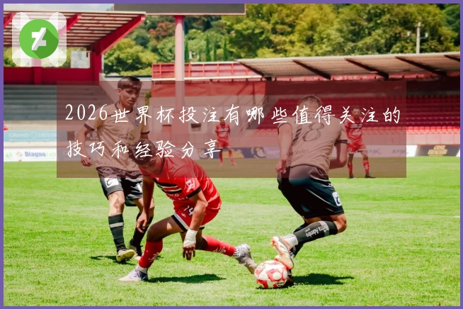 2026世界杯投注有哪些值得关注的技巧和经验分享